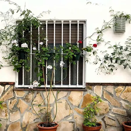 Casa Secreta Velez-malaga Centro