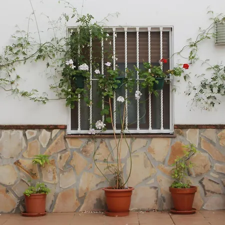 Daire Casa Secreta Velez-malaga Centro Velez Malaga